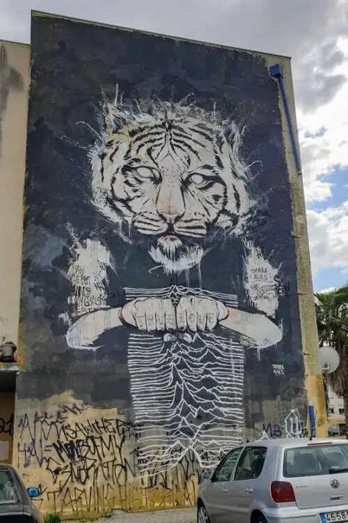 Street art by Tamara Alves in Quinta do Mocho, Lisbon