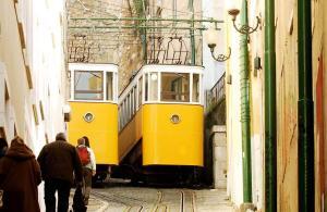 The Lavra Funicular takes you to one of Lisbon's less touristic viewpoints - and to Campo dos Martires with the lush, green and children friendly Parque Canino. A true hidden gem