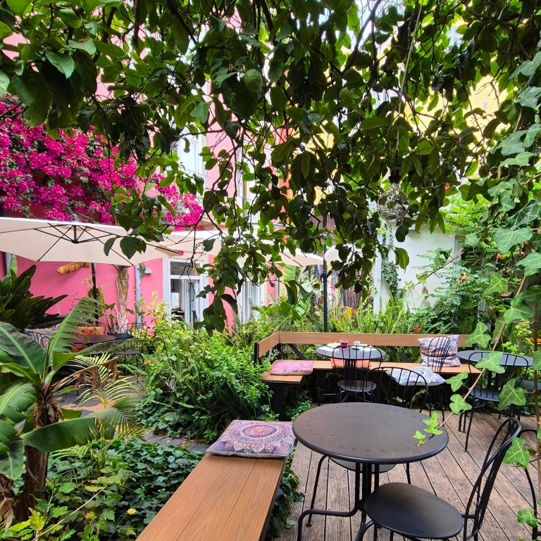 Massive pink bougainvillea climbing a pink wall behind patio seating under a lemon tree canopy at our hotel with cats Lisbon garden courtyard.