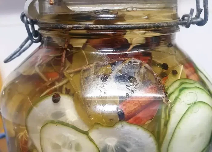 THE ICING ON THE CAKE:  The cucumber salad is a must!  Fill up a VERY CLEAN jar with thin cucumber slices. Cover it with a pot of boiling vinegar (4) + water (1), + a lot of sugar, little salt + a mix of star anise, cinnamon + estragon, thyme or Rosemary, peppercorns. BE CREATIVE!. Leave it for a few days. It will be a hit.